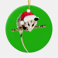 Possum ornament