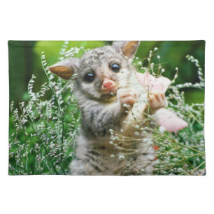 Possum Placemat