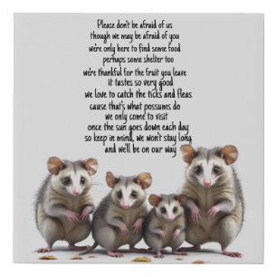 Possum Poem  Faux Canvas Print