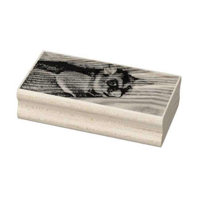 POSSUM QUEENSLAND AUSTRALIA RUBBER STAMP (Stamp)