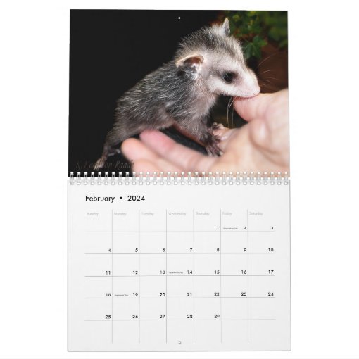 Possum Smiles Calendar Zazzle