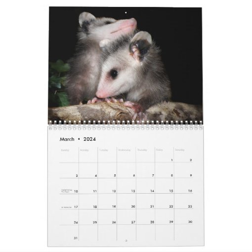 Possum Smiles Calendar Zazzle