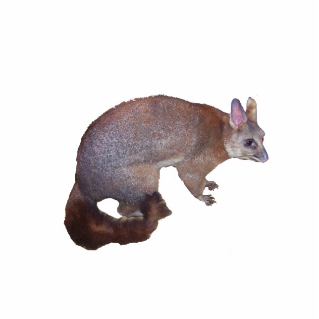 Possum Statuette (Front)