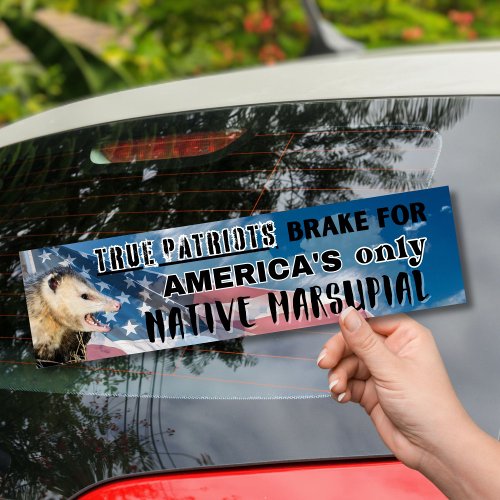 Possum Sticker _ Americas only Native Marsupial