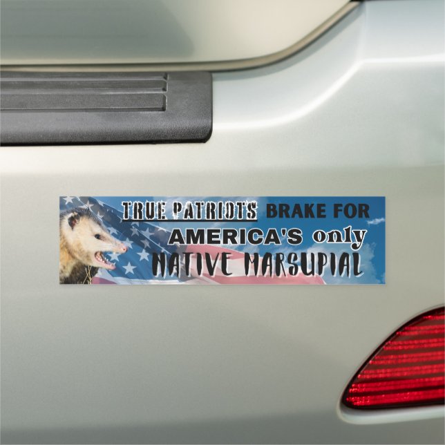 Possum Sticker - America's only Native Marsupial Car Magnet (In Situ)