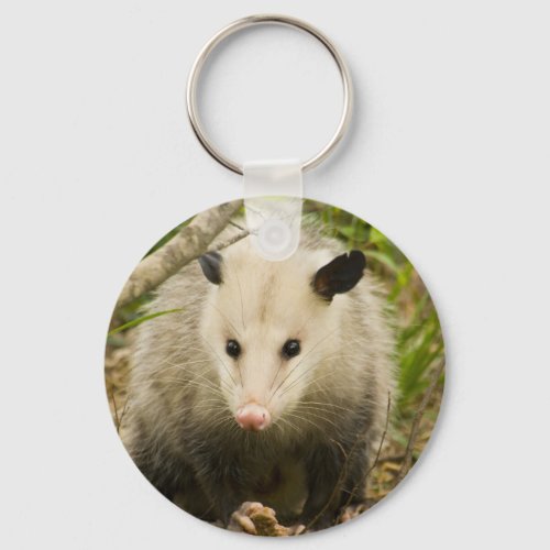 Possums are Pretty _ Opossum Didelphimorphia Keychain