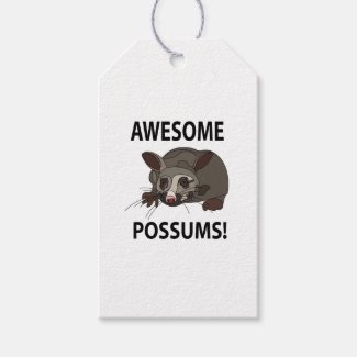 Possums Awesome Funny Possums