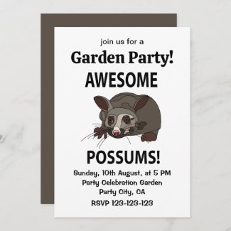 Possums Awesome Funny Possums