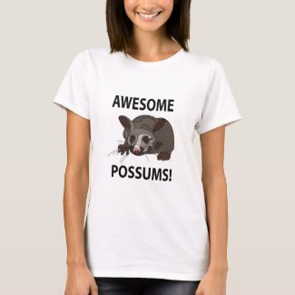 Possums Awesome Funny Possums