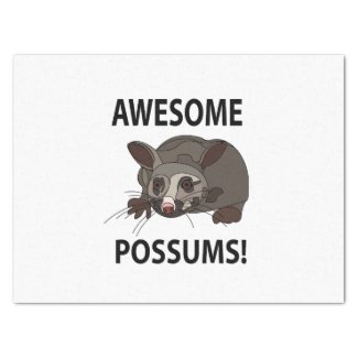Possums Awesome Funny Possums