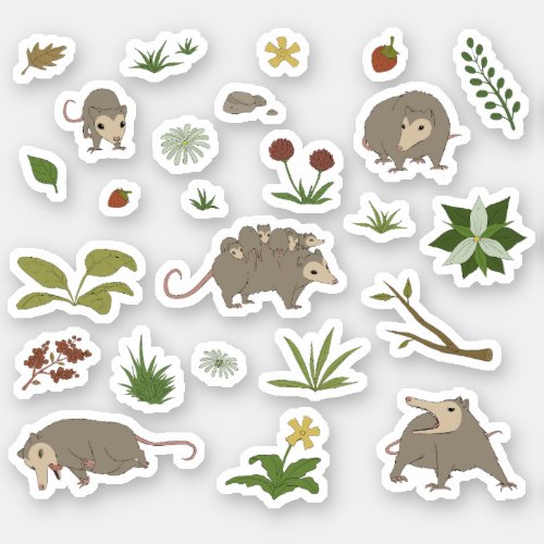 Possums in a Berry Field Sticker