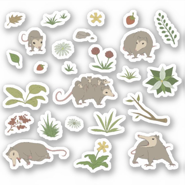 Possums in a Berry Field Sticker (Front)
