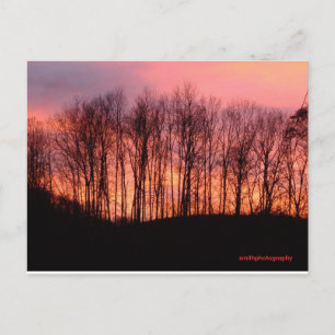 post card