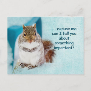 POST CARD - ADVERTISEMENT - CUTE SQUIRREL