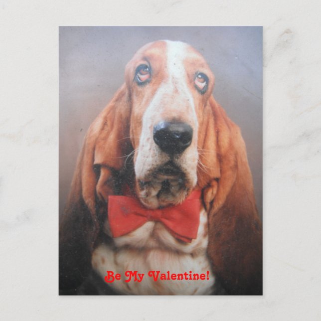 Post Card Basset Hound In Red Bow Tie, Be My Val (Front)