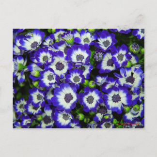 Post Card for Travel 3