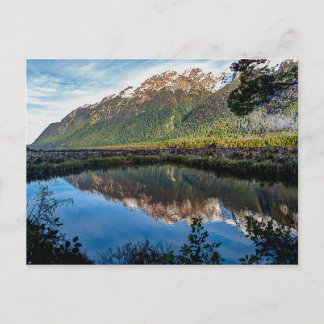 Post Card from New Zealand