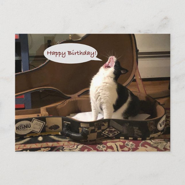 Post Card, Happy Birthday, Cat Singing Guitar Case Postcard (Front)