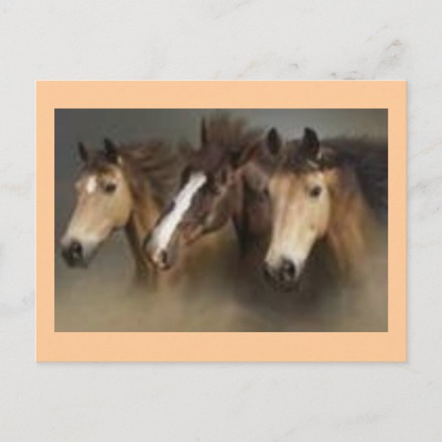 Post card ith Horses (Front)
