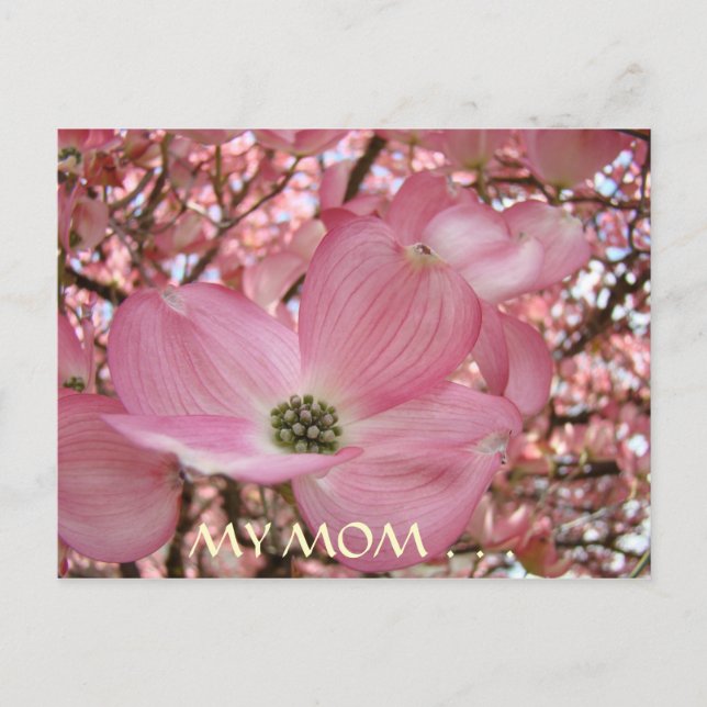 POST CARD My Mom Sweetest Life DOGWOOD FLOWERS (Front)