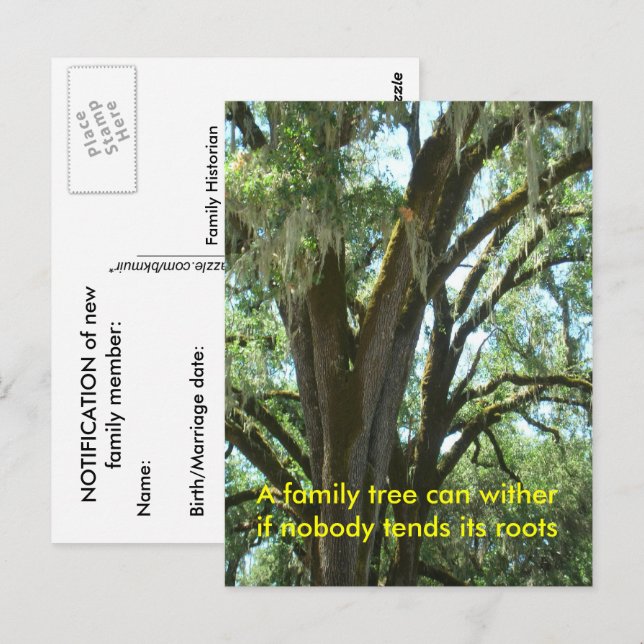 Post Card - New Family Member (Front/Back)