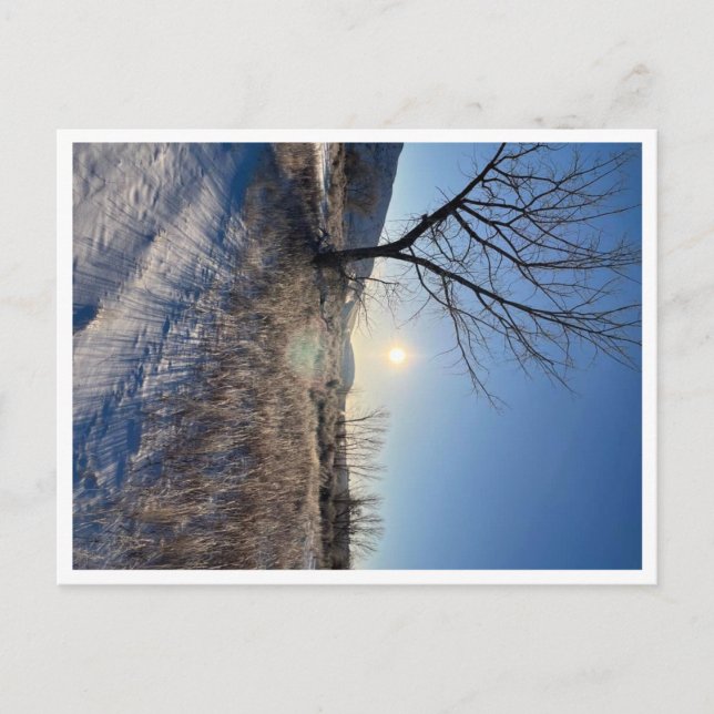 Post Card, Size: Standard Postcard, Paper: Matte, Postcard (Front)