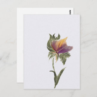 Post Card, Size: Standard Postcard, Paper: Matte, Postcard