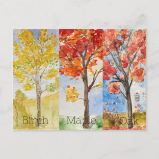 Post Card, Size: Standard Postcard, Paper: Matte, Postcard