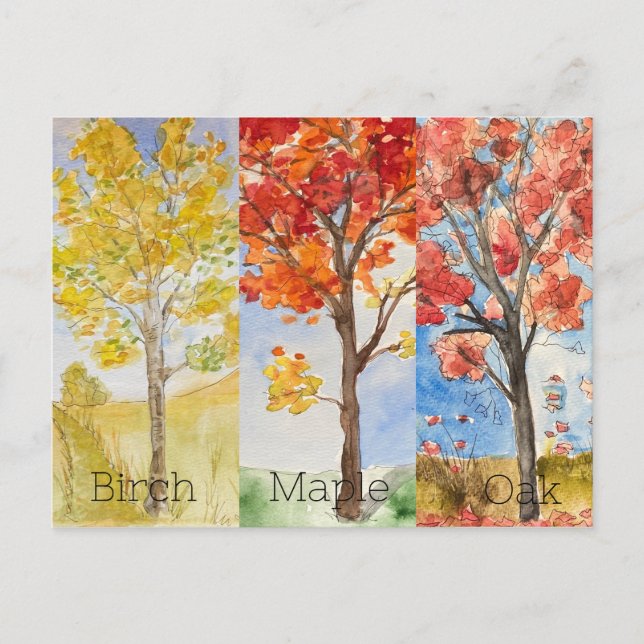 Post Card, Size: Standard Postcard, Paper: Matte, Postcard (Front)