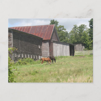 Post Card with two horses and barn
