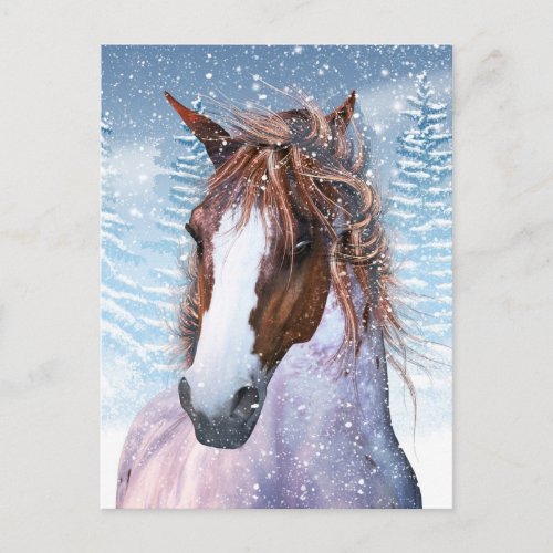 Post Card With Winter Horse In The Snow