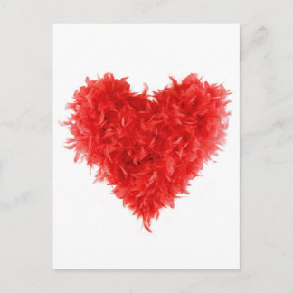 Post Cards| Red Heart Boa Postcard