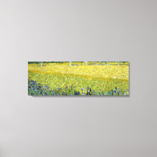 Post-impressionist Canvas Print