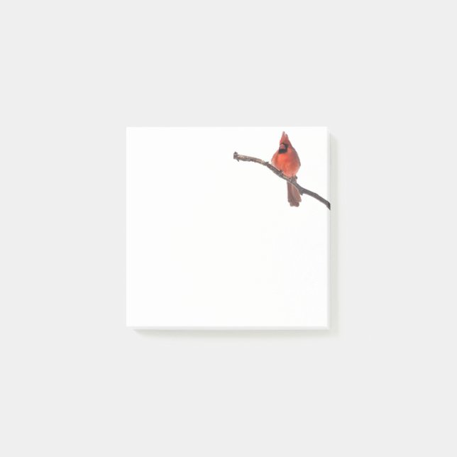 Post it note Cardinal (Front)