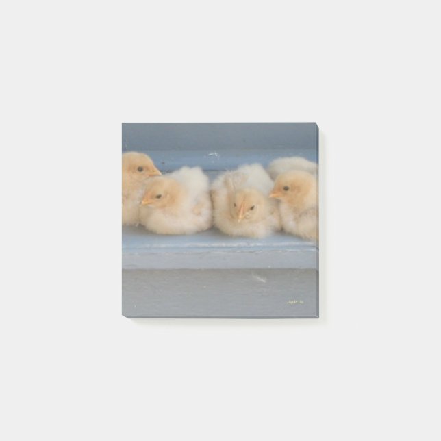 Post-it Notes (Front)