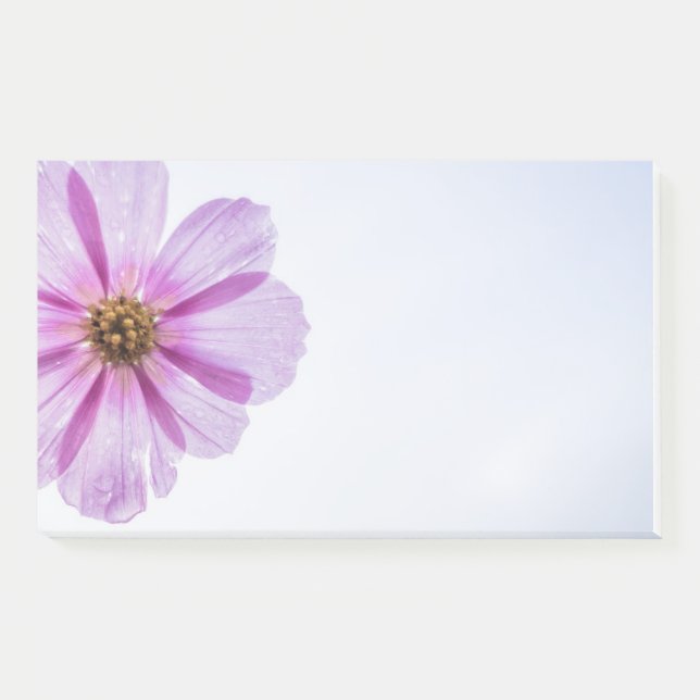 Post It Notes (Front)