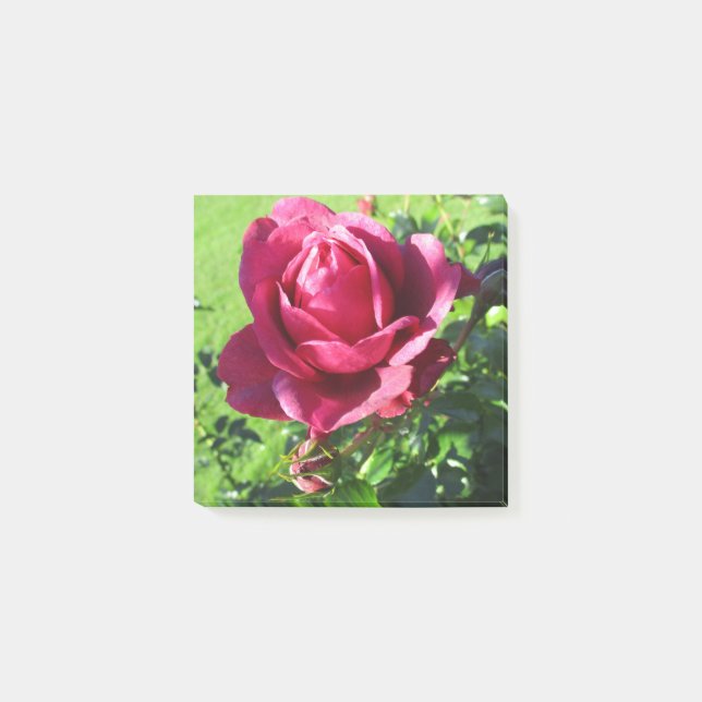 Post-It Notes (Front)