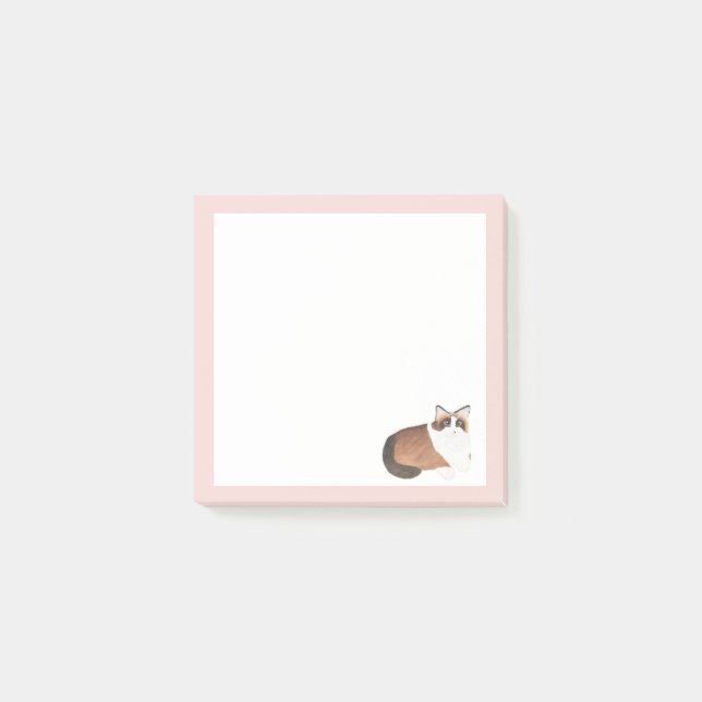 Post-It® Notes, 3" x 3" Post-it Notes (Front)