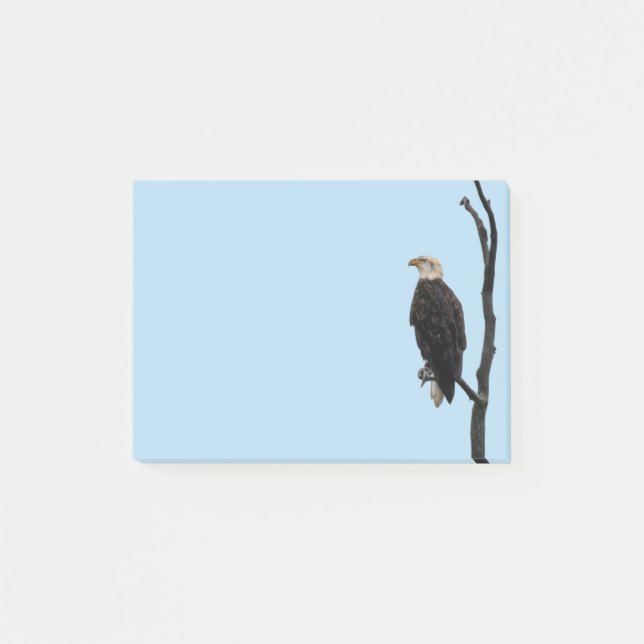 Post it notes Eagle (Front)