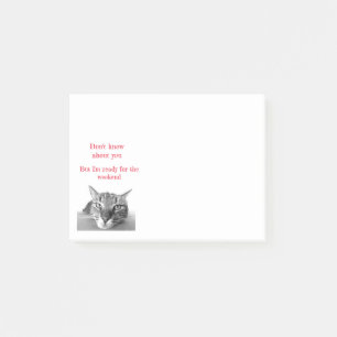 Post it Notes-Funny Cat Post-it Notes
