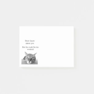 Post it Notes-Funny Cat Post-it Notes