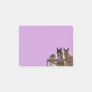 Post it notes Horses