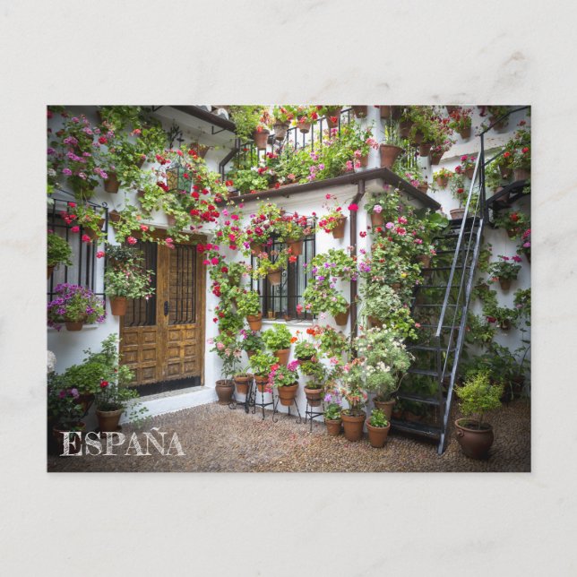 postal patio andaluz en Córdoba, España Postcard (Front)
