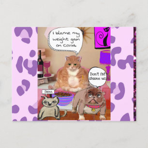 Postcard