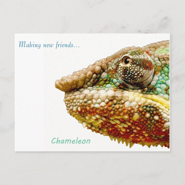 Postcard (Front)