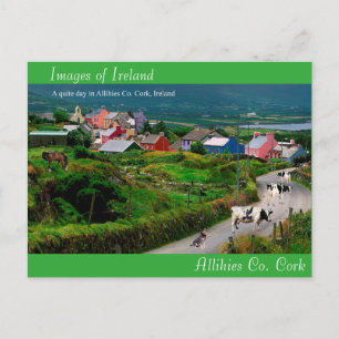 Postcard