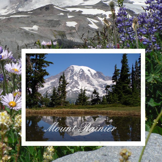 Postcard (Creator Uploaded)