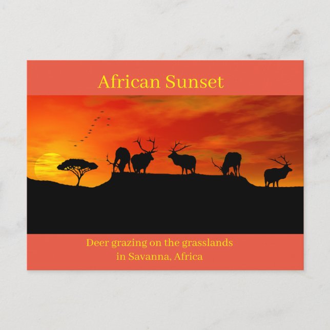 Postcard (Front)