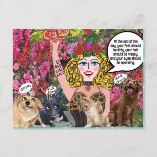 Postcard