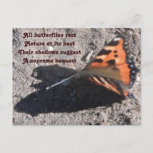Postcard All Butterflies Rest Poem By Ladee Basset